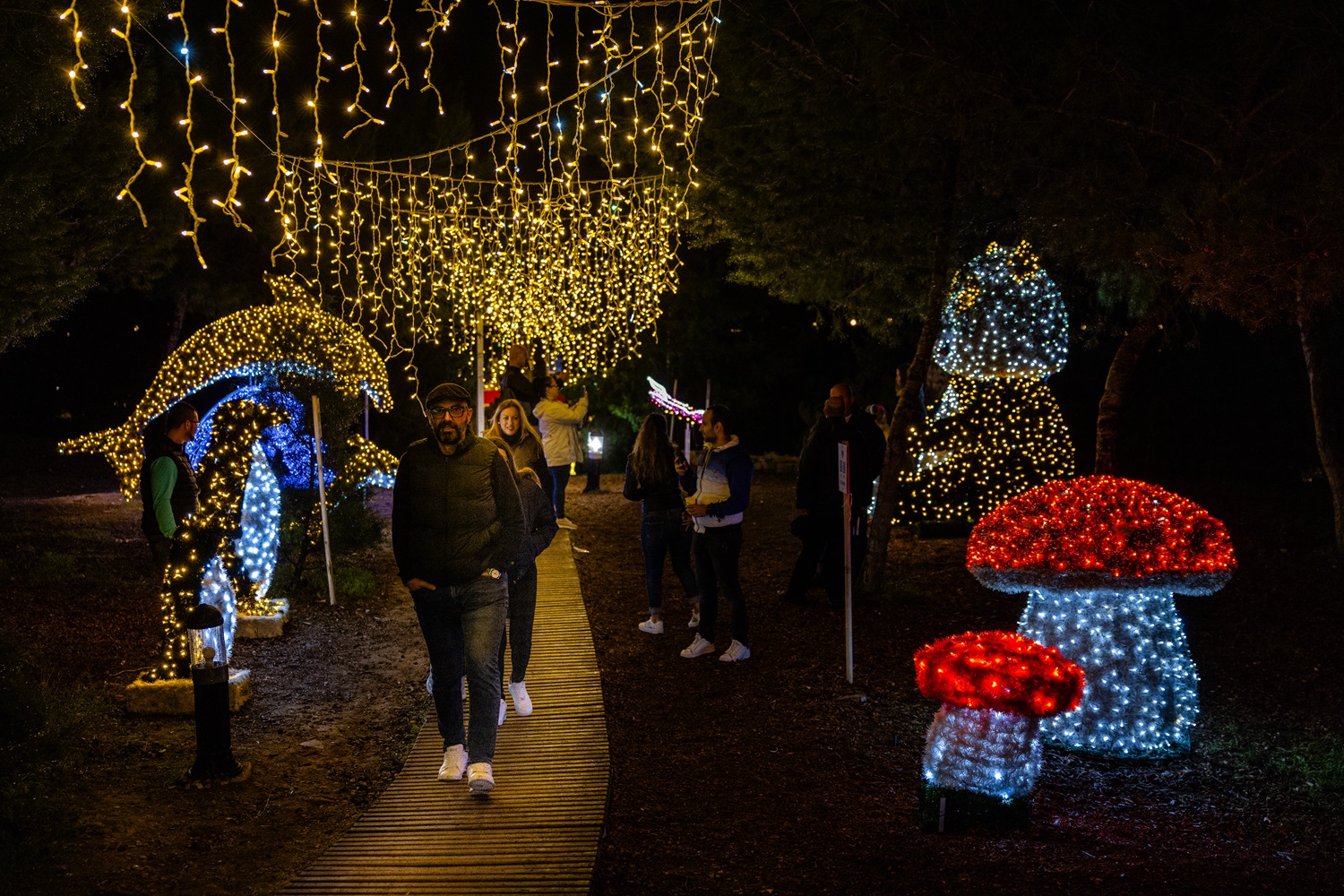Christmas in the Park Around 9,000 people daily Newsbook