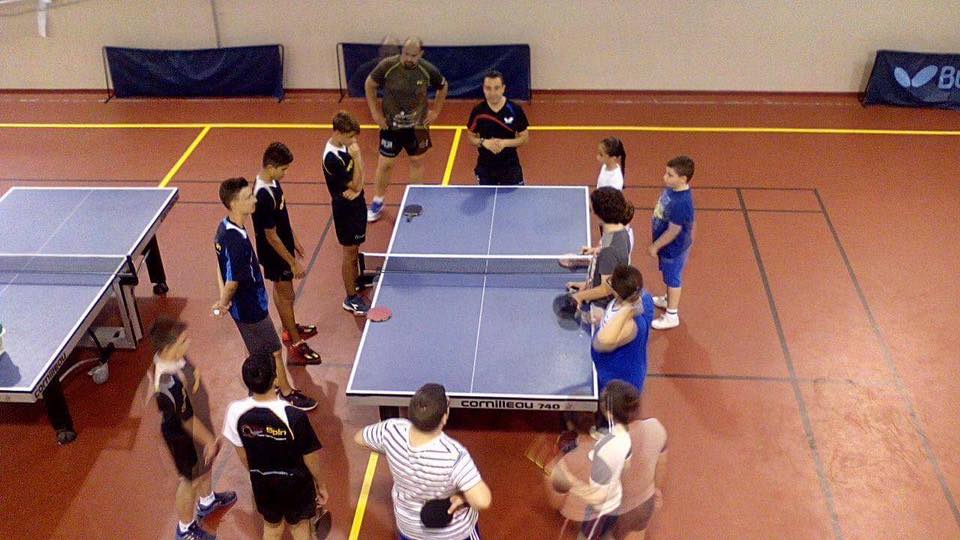 Topspin Table Tennis Academy b'sajf ieħor ta' taħriġ taħt kowċ Pollakk