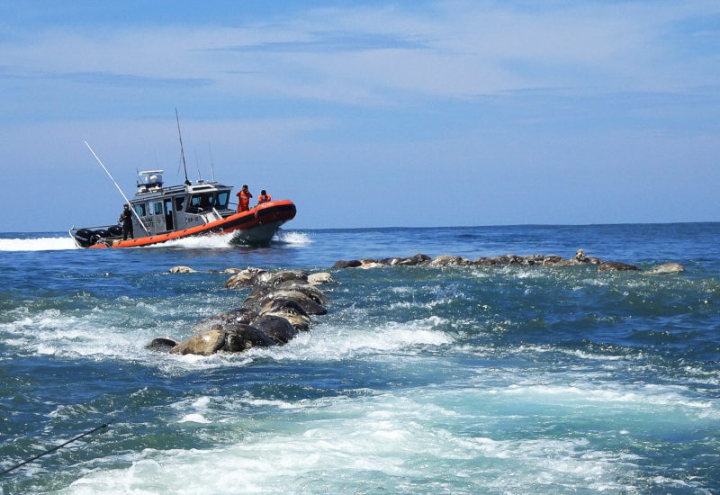 A boat of the Mexican Navy sails near turtles killed while trapped in a fishing net in the municipality of Santa Maria Colotepec