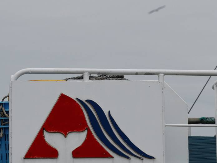 A sea gull flies over a logo symbolising a whale's tale on a whaling ship which is set to join the resumption of commercial whaling at a port in Kushiro