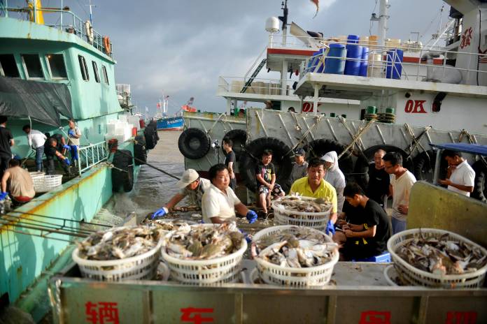 Workers unload seafood from fishing boats before super typhoon Lekima makes landfall in Zhoushan