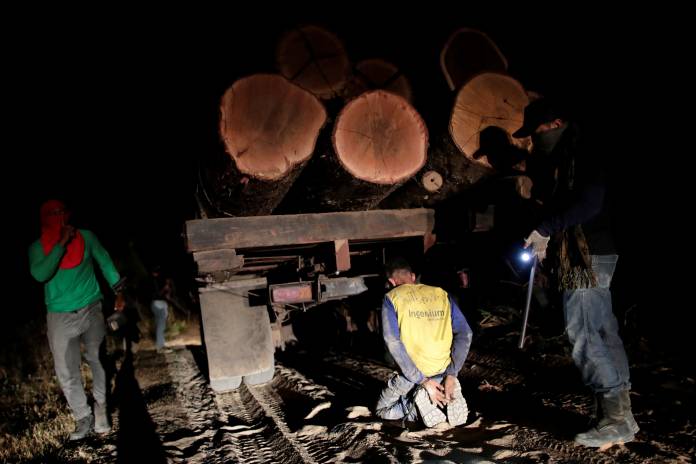 The Wider Image: Fighting fire with fire, Amazon 'forest guardians' stalk loggers