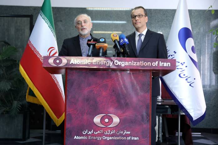 Ali Akbar Salehi, director of Iran's nuclear energy agency speaks during a news conference with the acting head of the U.N. nuclear watchdog (IAEA), Cornel Feruta, in Tehran