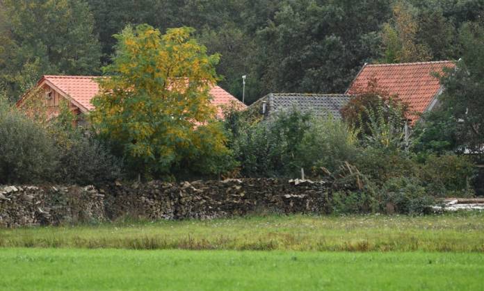 2019-10-15T155034Z_2_LYNXMPEF9E1BV_RTROPTP_4_NETHERLANDS-FAMILY