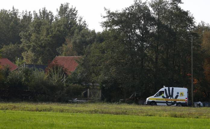 A general view of a remote farm where a family spent years locked away in a cellar, in Ruinerwold