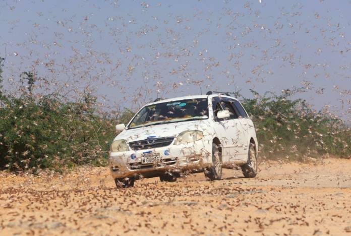 2020-01-04T141013Z_1_LYNXMPEG030FU_RTROPTP_4_KENYA-LOCUSTS
