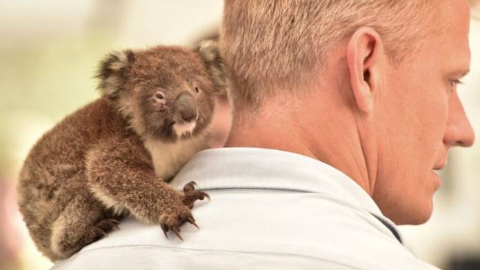 Australia-21