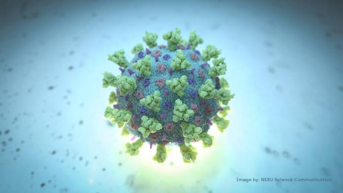 A computer image created by Nexu Science Communication together with Trinity College in Dublin, shows a model structurally representative of a betacoronavirus which is the type of virus linked to COVID-19 A computer image created by Nexu Science Communication together with Trinity College in Dublin, shows a model structurally representative of a betacoronavirus which is the type of virus linked to COVID-19