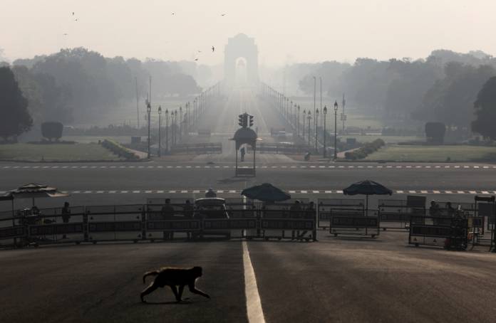 FILE PHOTO: A monkey crosses the road near India's Presidential Palace during a 14-hour long curfew to limit the spreading of coronavirus disease (COVID-19) in New Delhi, India, March 22, 2020. REUTERS/Anushree Fadnavis