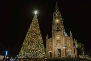 ghajnsielem-christmas-tree