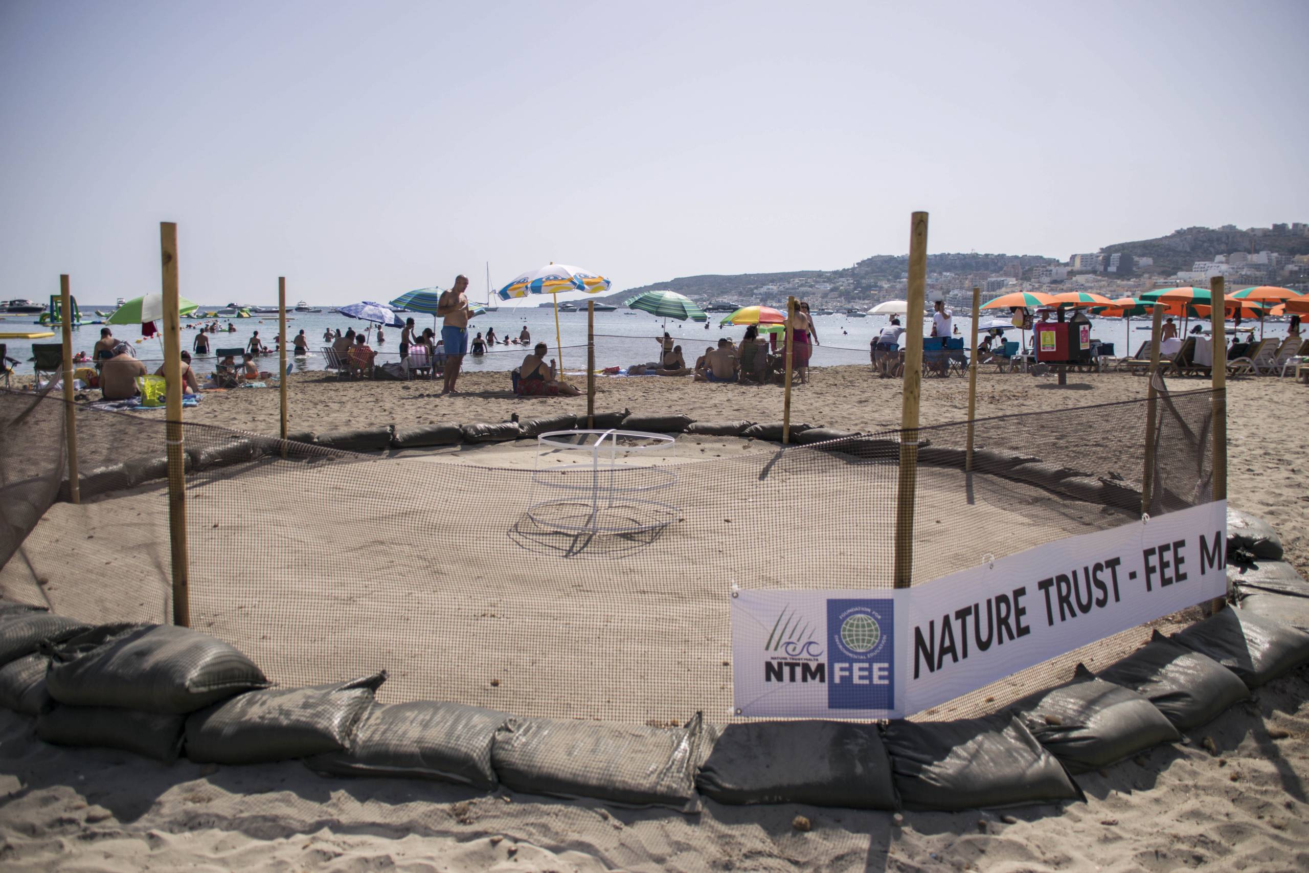 turtle-eggs-ghadira-bay