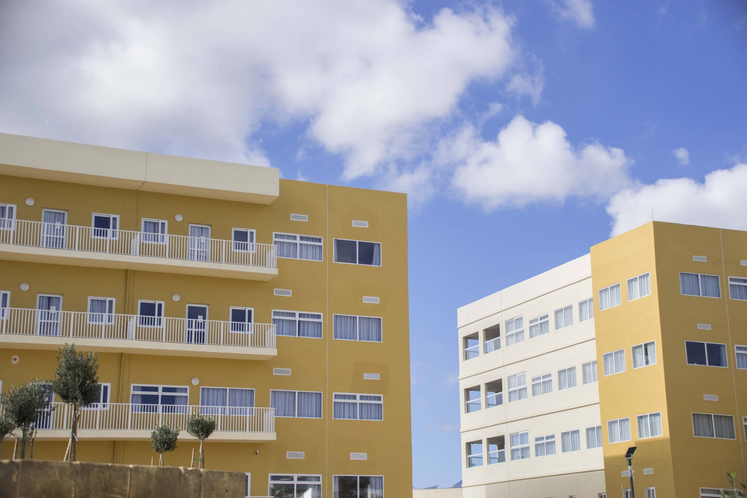 Malta Chamber calls for 'level playing field' in public procurement - Vimarsana News