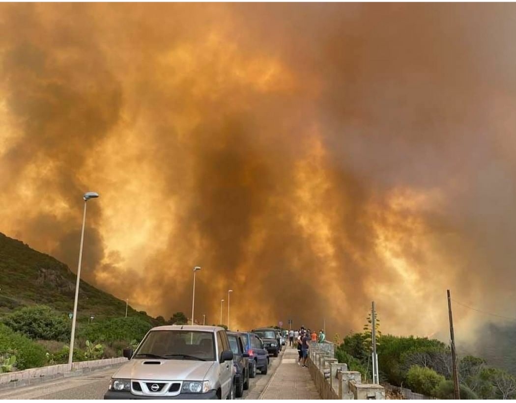 Wildfires cause 'disaster without precedent' in Sardinia Newsbook