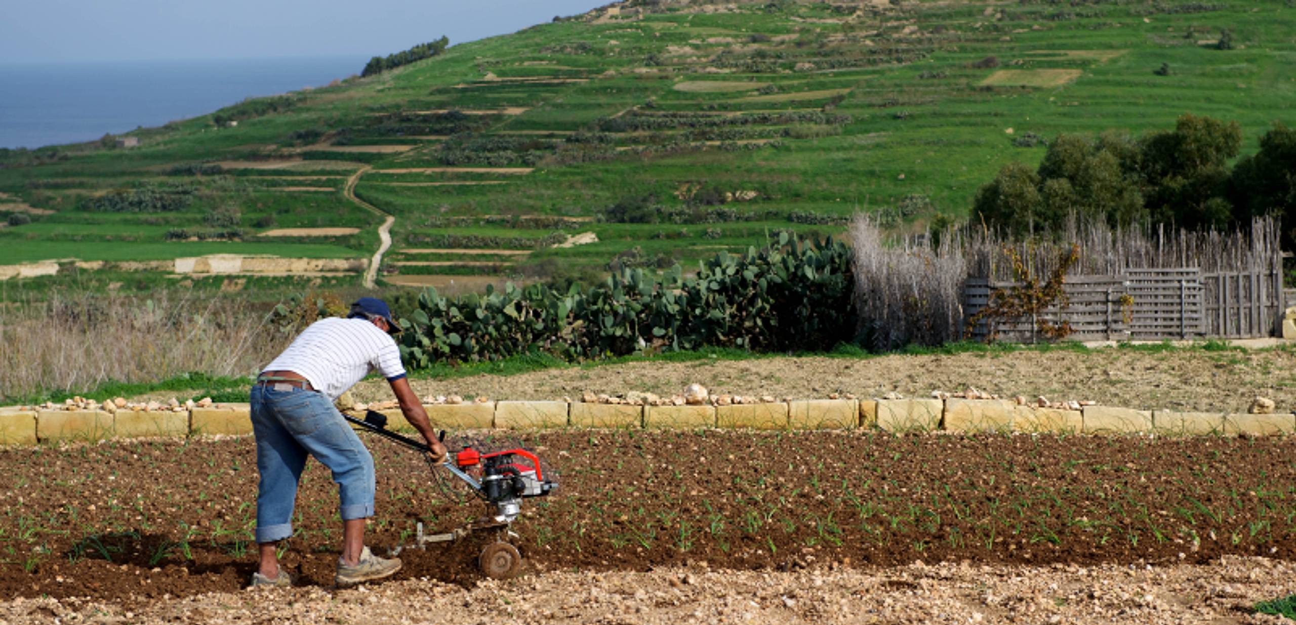 €166 million in European funds for Malta's agricultural sector Newsbook