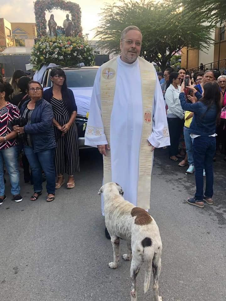 Priest brings stray dogs to Mass so people can adopt them