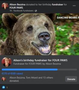 4Paws