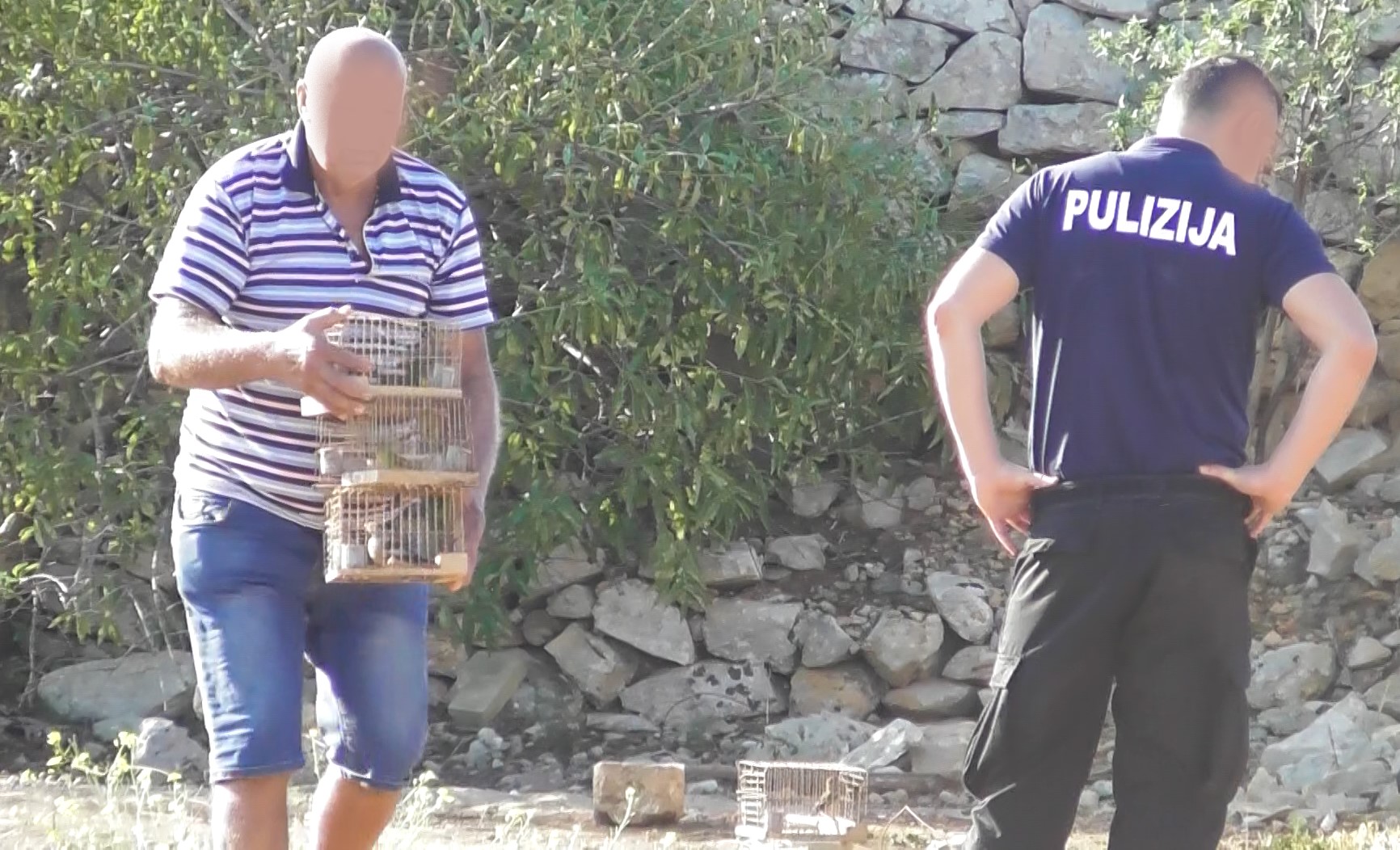 30 poachers caught, 368 live birds confiscated in 4 weeks Newsbook