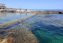 Malta Still Breaching EU Sewage Rules, European Parliament Hears