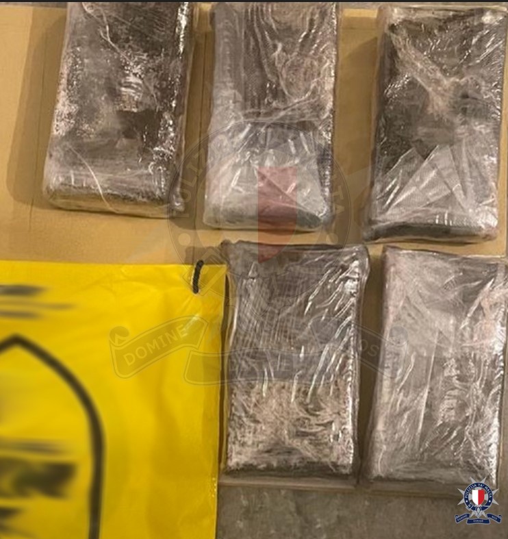 Nine people arrested in two drug busts Newsbook