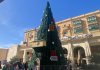 ‘Merry construction’ – Valletta Christmas tree mocked for aping apartment block