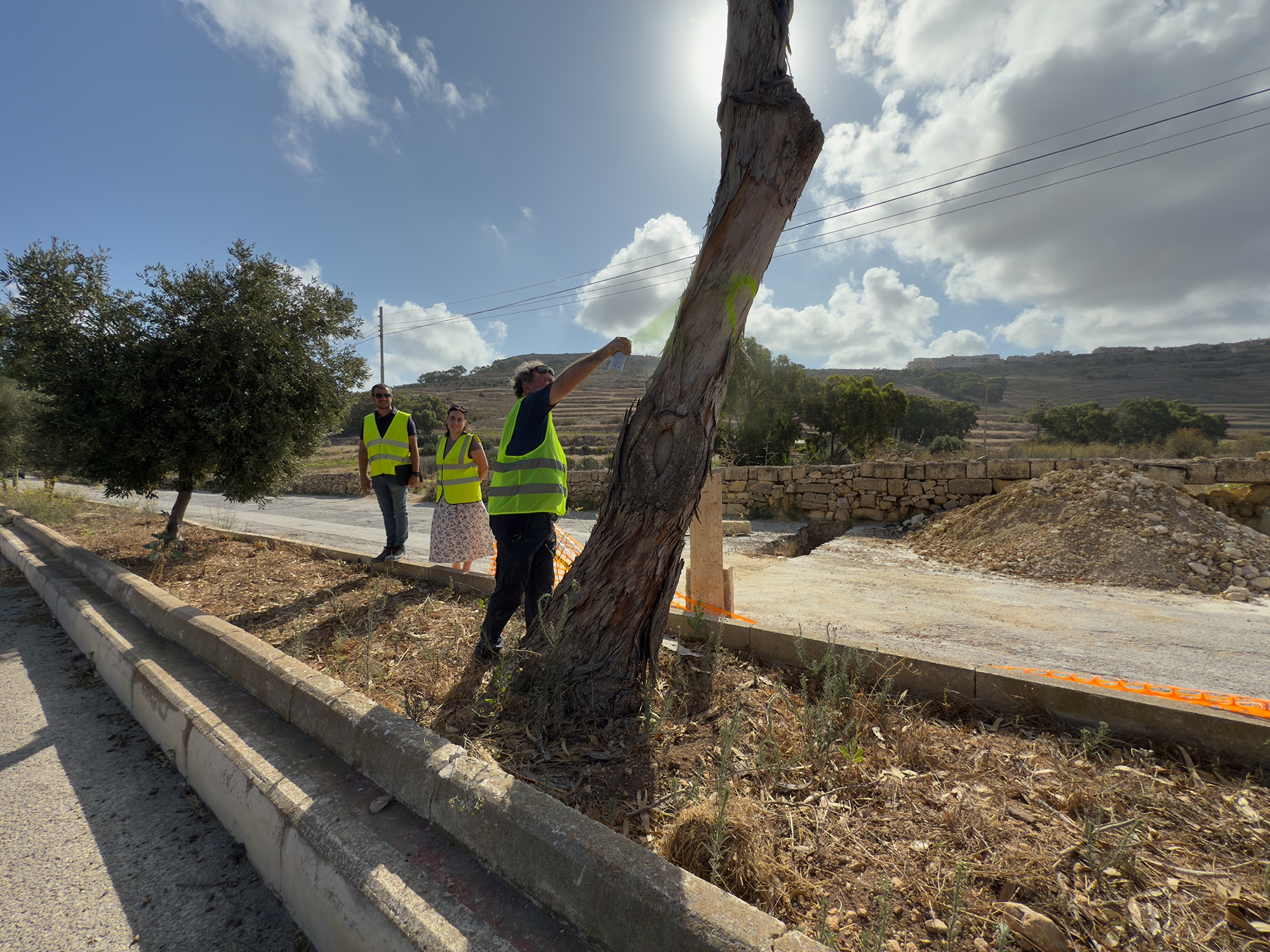 Pjan Pjan rivedut se jsalva 357 siġra u arbuxell