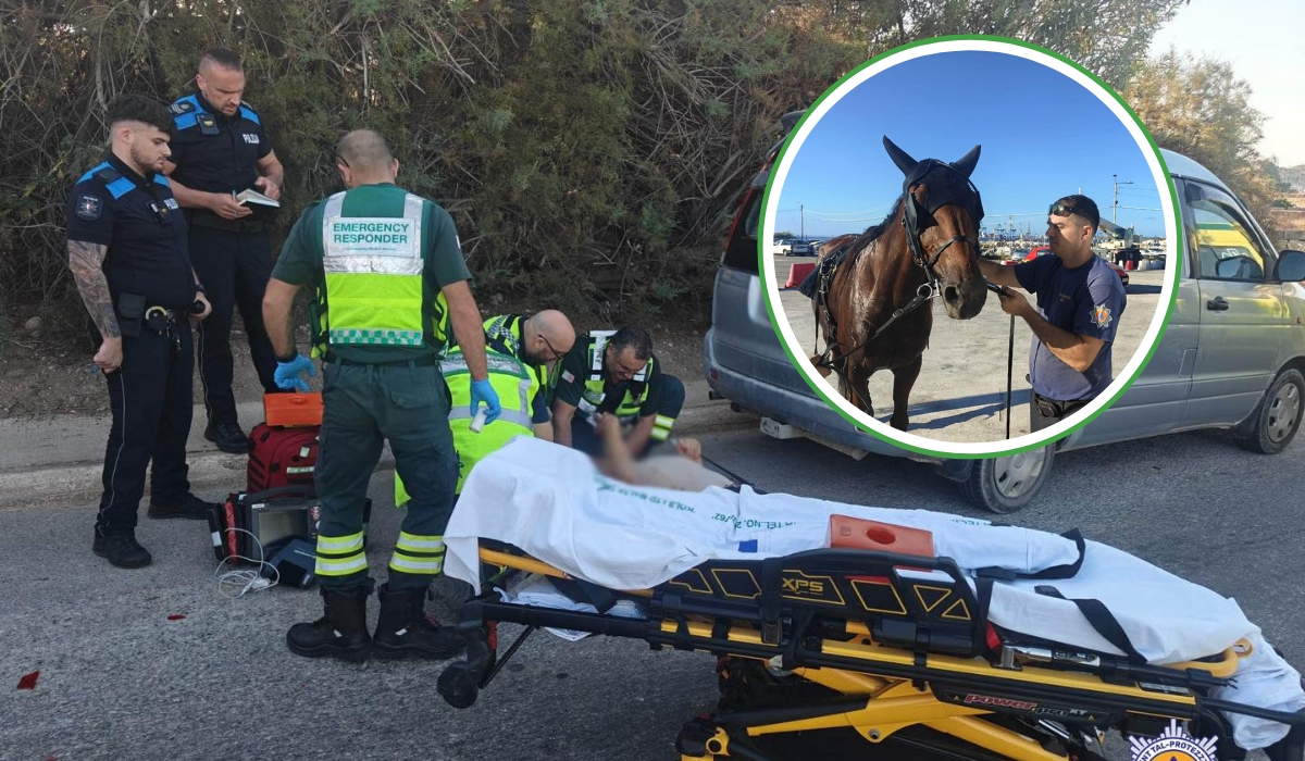 Man hospitalised after car strikes horse and sulky