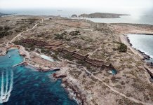 Victory for Comino as tree-felling permit revoked in Graffitti appeal