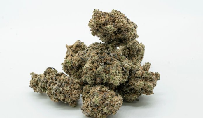 sentenza-ta-pri-unerija-g-al-pussess-tal-kannabis
