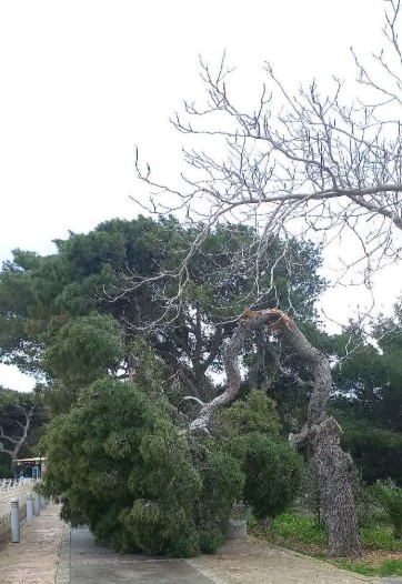 Attenzjoni għall-perikli mill-maltemp