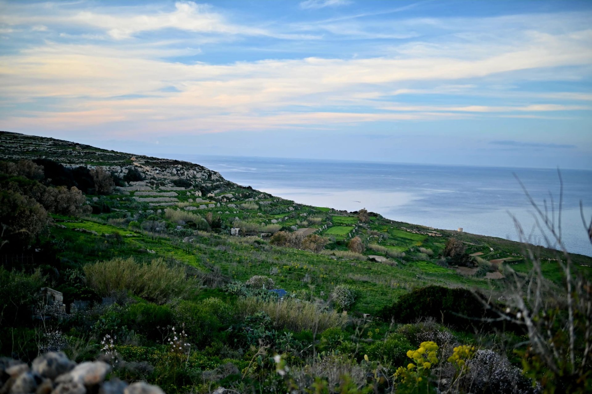 Momentum calls for elected Gozo council and direct EU funding in pre ...