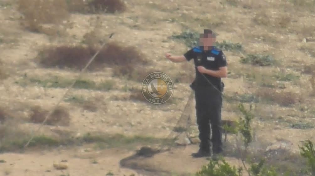 Trapping Ranger Police dismantle illegal trapping site in Marsaskala after ranger alert