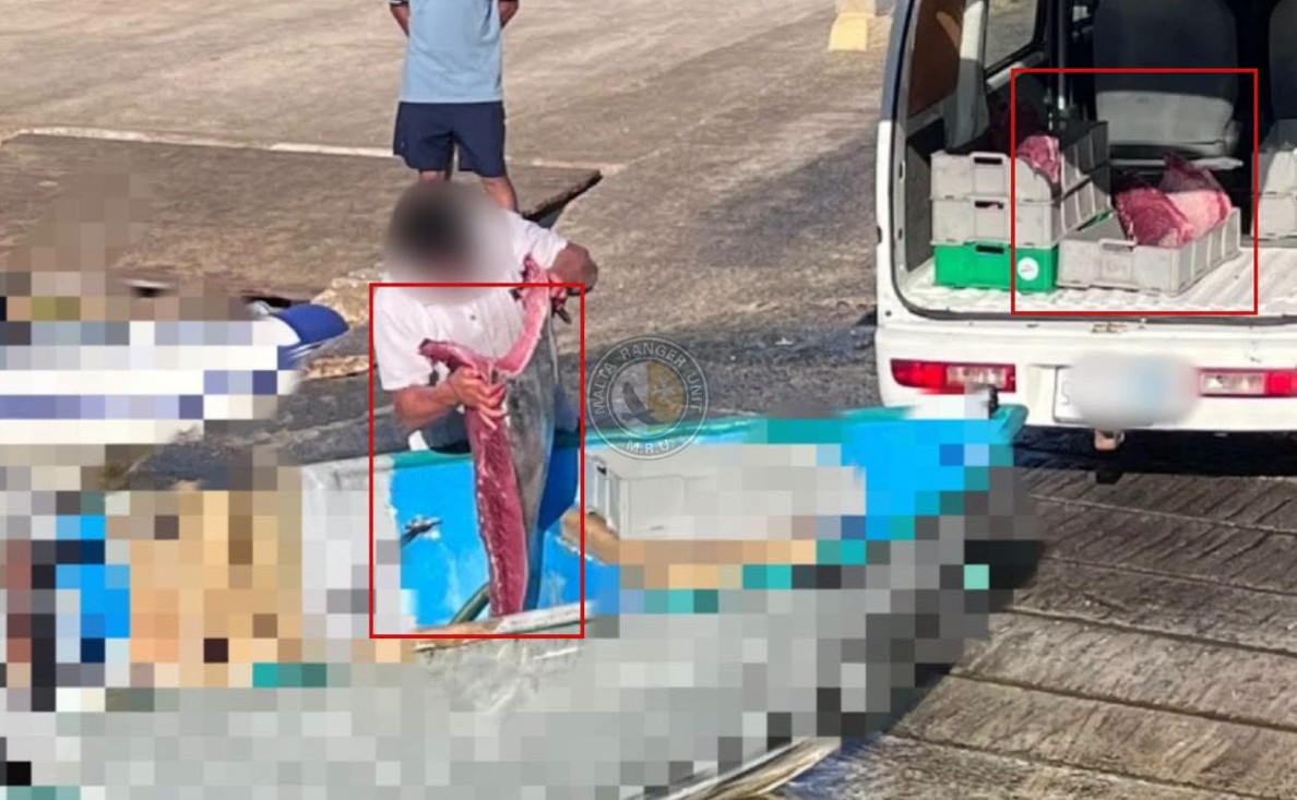 Dwar Il-Malta Ranger Unit twissi dwar sajd illegali tat-tonn